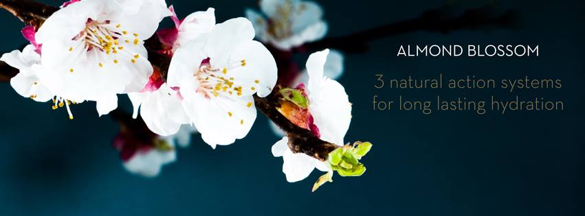 Korres Άνθη Αμυγδαλιάς