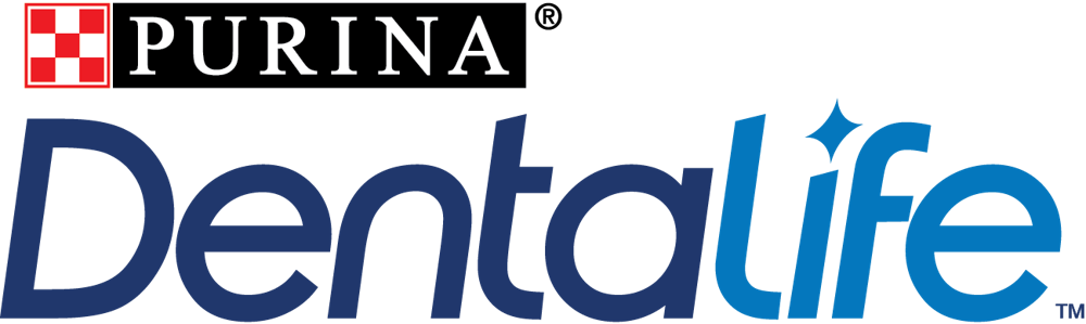 Dentalife