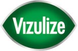 VIZULIZE