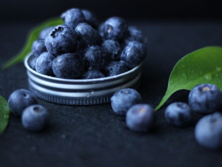 Το μύρτιλλο και οι δράσεις του.