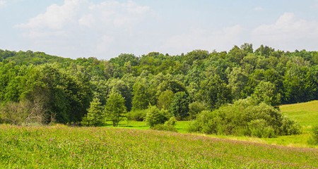 Βιολογικό Γάλα