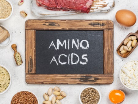 Ελεύθερα Αμινοξέα.