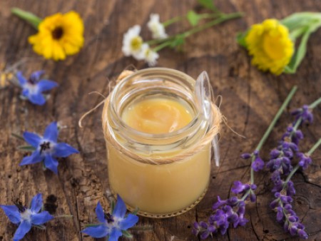 Βασιλικός Πολτός.