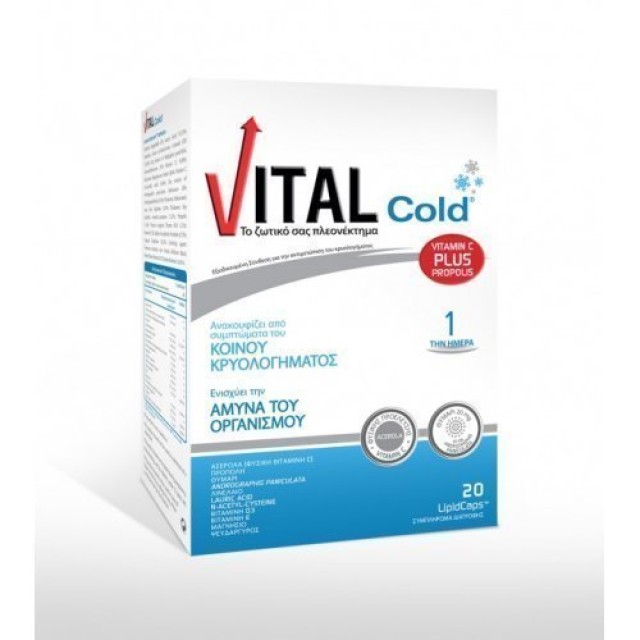 Vital Cold 20caps